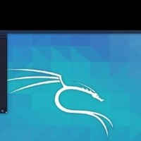 Win10+WSL2能否替代桌面版Linux