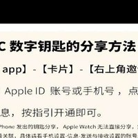 比亚迪海豚NFC绑定限制，能否同时连接两部手机？