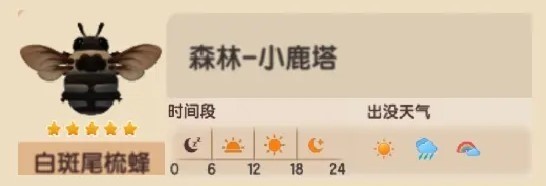 心动小镇，白斑尾梳蜂捕捉最佳时间与地点指南？