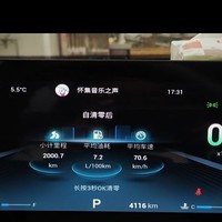 瑞虎8 PRO 120左右近9个油，都这么耗油？