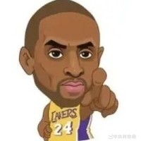 湖人17胜含3场核心缺席奇迹