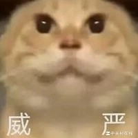 足球新坑，篮球太卷