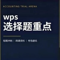 WPS二级选择题高频考点