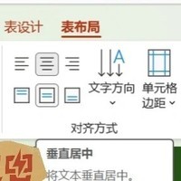 PPT表格内容垂直居中