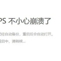 WPS按Ctrl+C崩溃问题
