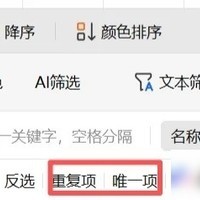 WPS表格筛选功能需会员