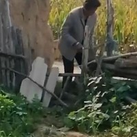 女子拍姑姑偷玉米遭杀害案