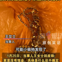 业主调侃被盗，小偷不专业