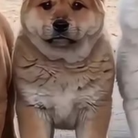 篮球小前锋武将类比