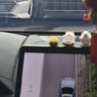 数码老哥求助识别车辆