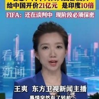 FIFA高管来华谈转播权