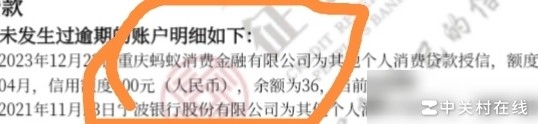 蚂蚁消费金融贷款争议