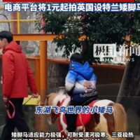 马年矮脚马热销，销量暴涨七成