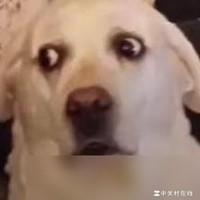 老丈人骑电瓶车的趣事