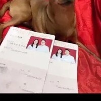 绝望的极致状态