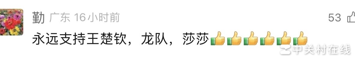 马龙与莎头绑定影响分析