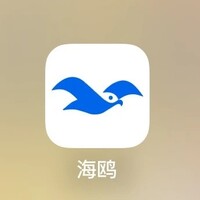 海鸥App登录异常问题