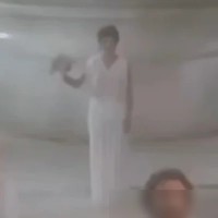 81版雅典娜与猫头鹰情谊