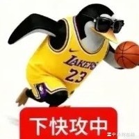 詹姆斯能否打进季后赛？