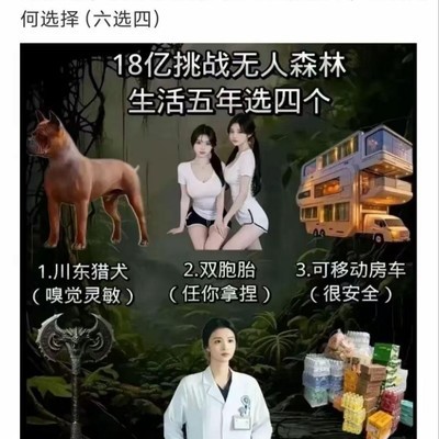 五年的森林生活，你会选哪四种，500万挑战与生存策略