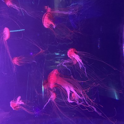 δʮ꣬˹ܽθıǵճ