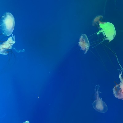 δʮ꣬˹ܽθıǵճ