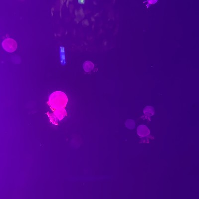 δʮ꣬˹ܽθıǵճ