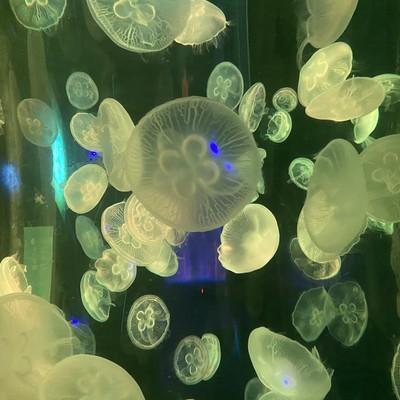 δʮ꣬˹ܽθıǵճ