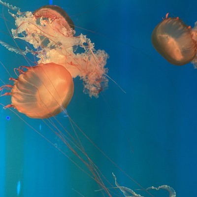 δʮ꣬˹ܽθıǵճ