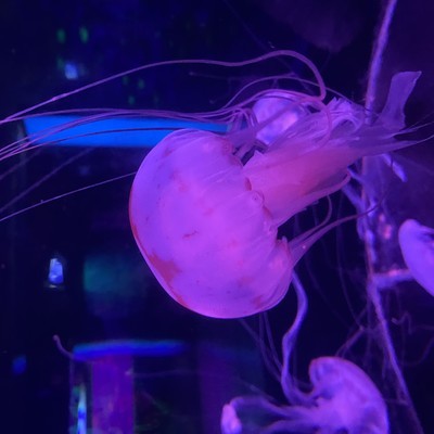 δʮ꣬˹ܽθıǵճ