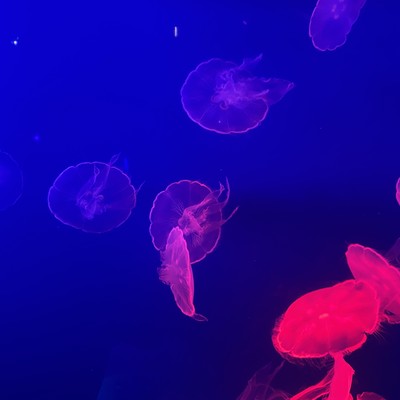 δʮ꣬˹ܽθıǵճ