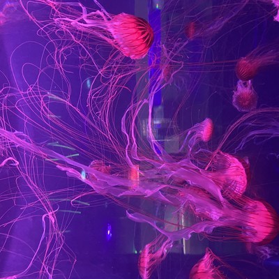 δʮ꣬˹ܽθıǵճ