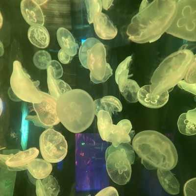 δʮ꣬˹ܽθıǵճ