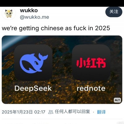 DeepSeek使用体验与社会生活集成效果探讨