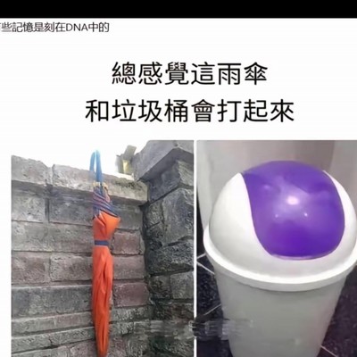 图片表达力，视觉语言的力量