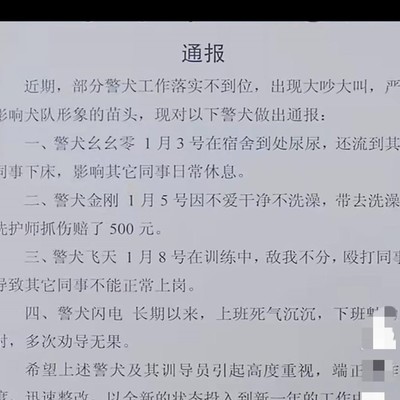 警犬通报批评成网络笑点，幽默背后的社会生活反思