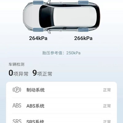 比亚迪海豚胎压监测失准，实际问题与App显示矛盾？