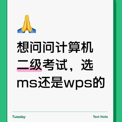 计算机二级选MS还是WPS