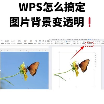 WPS一键抠图技巧
