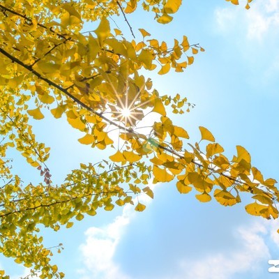 小米14 Ultra还值得入手吗？