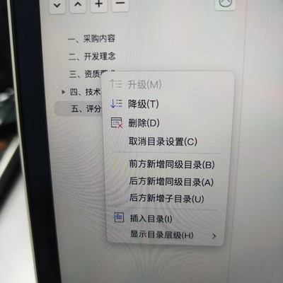 Mac版WPS右键菜单快捷键