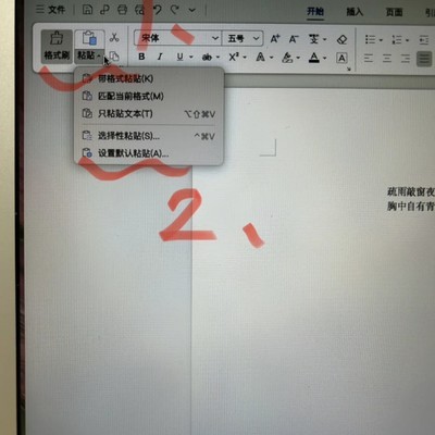 WPS文本粘贴格式匹配