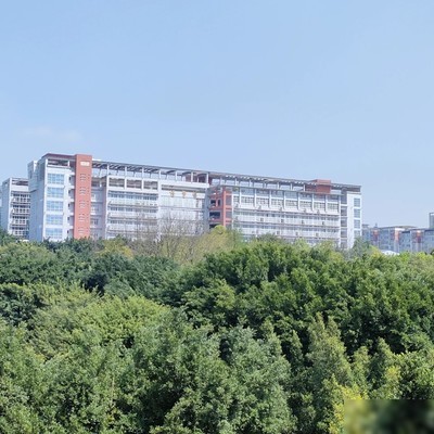 WPS文档密码遗忘解决法