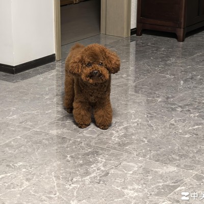 婚后生活是否都暗无天日？