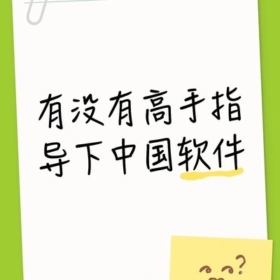 中国软件2024年10月进展