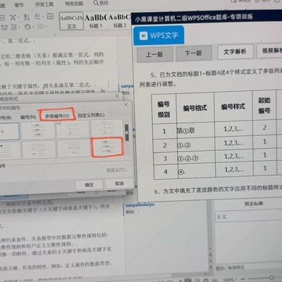 WPS第八套文字编号选择原因
