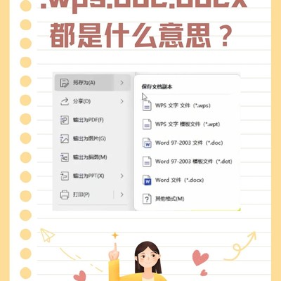 WPS格式入门与优劣解析
