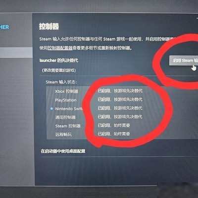 NS Pro手柄游戏内失灵解决