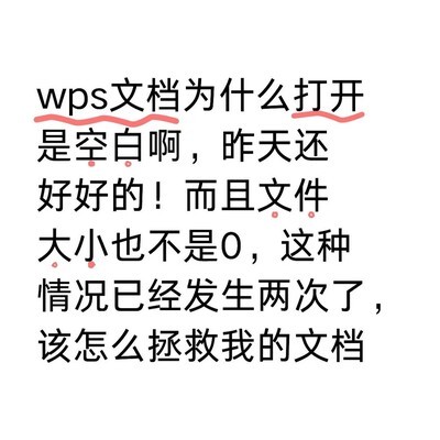 WPS文档打开空白怎么办