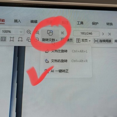 PDF页面自动转正技巧